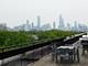 1069 W 14th Unit 204, Chicago, IL 60608