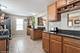 7336 W Argyle, Harwood Heights, IL 60706