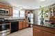 7336 W Argyle, Harwood Heights, IL 60706