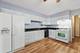 425 Home Unit 2H, Oak Park, IL 60302