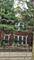 2621 S Spaulding, Chicago, IL 60623