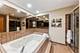 37756-88 N Cedar Lake, Lake Villa, IL 60046