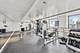 161 E Chicago Unit 53C, Chicago, IL 60611