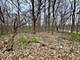 11151 203rd, Mokena, IL 60448