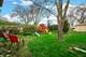 1202 S Birch, Mount Prospect, IL 60056