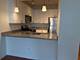 1400 S Michigan Unit 2305, Chicago, IL 60605