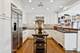 270 E Pearson Unit 1502, Chicago, IL 60611