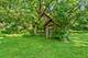 109 3rd, Montgomery, IL 60538