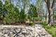 320 Park, Northbrook, IL 60062