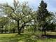 737 Becker, Glenview, IL 60025