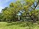 737 Becker, Glenview, IL 60025