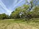 737 Becker, Glenview, IL 60025