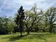 737 Becker, Glenview, IL 60025