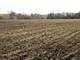 42908 N Lewis, Winthrop Harbor, IL 60096