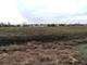42908 N Lewis, Winthrop Harbor, IL 60096