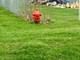 42908 N Lewis, Winthrop Harbor, IL 60096