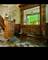 3936 S King, Chicago, IL 60653