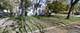 5957 S Ada, Chicago, IL 60636