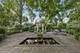 2020 Knollwood, Lake Forest, IL 60045