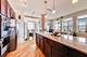 1717 S Prairie Unit 2309, Chicago, IL 60616