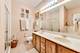 1717 S Prairie Unit 2309, Chicago, IL 60616
