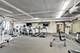 1717 S Prairie Unit 2309, Chicago, IL 60616