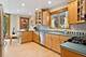 1515 W Glenlake, Chicago, IL 60660