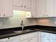 211 E Ohio Unit 1213, Chicago, IL 60611