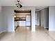 211 E Ohio Unit 1213, Chicago, IL 60611