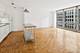 880 N Lake Shore Unit 6G, Chicago, IL 60611
