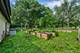 43W135 Mcdonald, Elgin, IL 60124