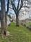 436 N Pleasant, Glenwood, IL 60425