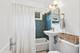 731 Hayes, Oak Park, IL 60302