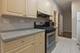 719 W 31st Unit 2, Chicago, IL 60616