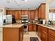 9206 Bundoran, Orland Park, IL 60462