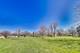 49 Amber Unit X2, Schaumburg, IL 60193