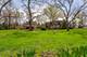 224 Olesen, Naperville, IL 60540