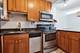 450 W Briar Unit 3E, Chicago, IL 60657