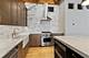 1017 W Washington Unit 4D, Chicago, IL 60607