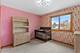 24901 Michele, Plainfield, IL 60544