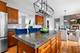 26824 Ashgate, Plainfield, IL 60585