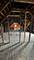 527 N Springfield, Chicago, IL 60624