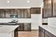 1279 Wildflower, Bartlett, IL 60103