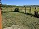 2949 W Offner, Monee, IL 60449