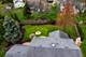 925 Appomattox, Naperville, IL 60540