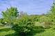 851 Crabapple, Crystal Lake, IL 60014