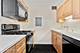 1309 N Wells Unit 708, Chicago, IL 60610