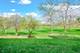 496 W Parkside, Palatine, IL 60067