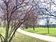 3638 S Western Unit A, Chicago, IL 60609