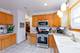 1147 S Grove, Oak Park, IL 60304